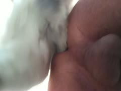 Hot anal getting fucked by precious doggy 